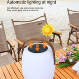 Modern Portable Solar LED Outdoor Lantern Light 1-light