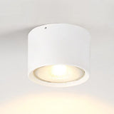 Nordic Cylinder LED Flush Mount Ceiling Light