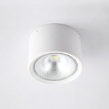 Nordic Cylinder LED Flush Mount Ceiling Light