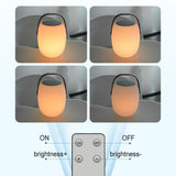 Modern Portable Solar LED Outdoor Lantern Light 1-light