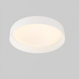 Wabi-Sabi Wood Grain Round Ceiling Light LED 1-Light