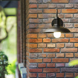 Vintage Industrial Iron Bowl Outdoor Wall Light LED 1-Light