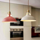 Industrial Colourful Metal Dome Pendant Light LED 1-light