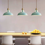 Industrial Colourful Metal Dome Pendant Light LED 1-light