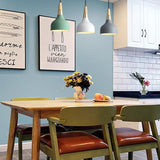 Modern Macaron Disc Pendant 1-Light