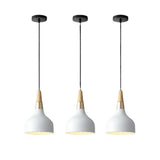 Modern Macaron Disc Pendant 1-Light