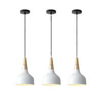 Modern Macaron Disc Pendant 1-Light Lasson Living