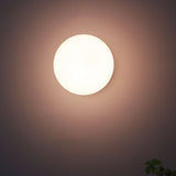 Modern Minimalist Glass Globe Wall Light | 1-Light