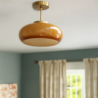 Vintage Glass Ceiling Light 1-Light