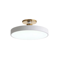 Modern Brass Round LED Ceiling Light 1-Light