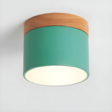 Nordic Wood Accent LED Ceiling Light 1-Light