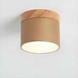 Nordic Wood Accent LED Ceiling Light 1-Light