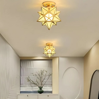 Modern Glass Star LED Ceiling Light 1-Light