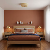 Art Deco Vintage Round Glass Ceiling Light 1-Light