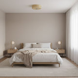 Art Deco Vintage Round Glass Ceiling Light 1-Light