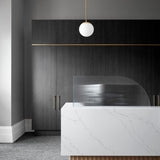 Minimalist Brass Globe Glass Pendant 1-Light