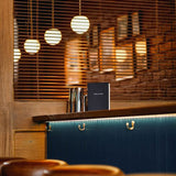 Minimalist Brass Globe Glass Pendant 1-Light