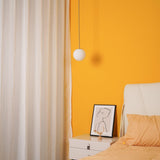 Minimalist Brass Globe Glass Pendant 1-Light