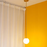 Minimalist Brass Globe Glass Pendant 1-Light