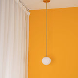 Minimalist Brass Globe Glass Pendant 1-Light