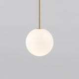 Minimalist Brass Globe Glass Pendant 1-Light
