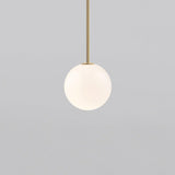 Minimalist Brass Globe Glass Pendant 1-Light