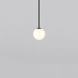 Minimalist Brass Globe Glass Pendant 1-Light