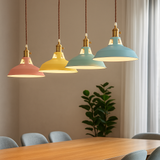 Industrial Colourful Metal Dome Pendant Light LED 1-light