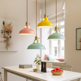 Industrial Colourful Metal Dome Pendant Light LED 1-light