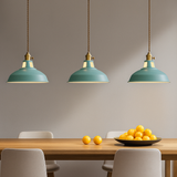 Industrial Colourful Metal Dome Pendant Light LED 1-light