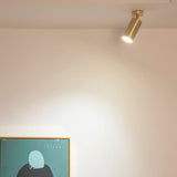 Modern Brass Double Cylinder Adjustable Wall Spotlight