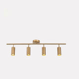 Modern Brass Double Cylinder Adjustable Wall Spotlight
