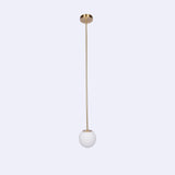 Minimalist Brass Globe Glass Pendant 1-Light