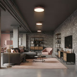 Modern Round LED Flush Mount Ceiling Light 1-Light