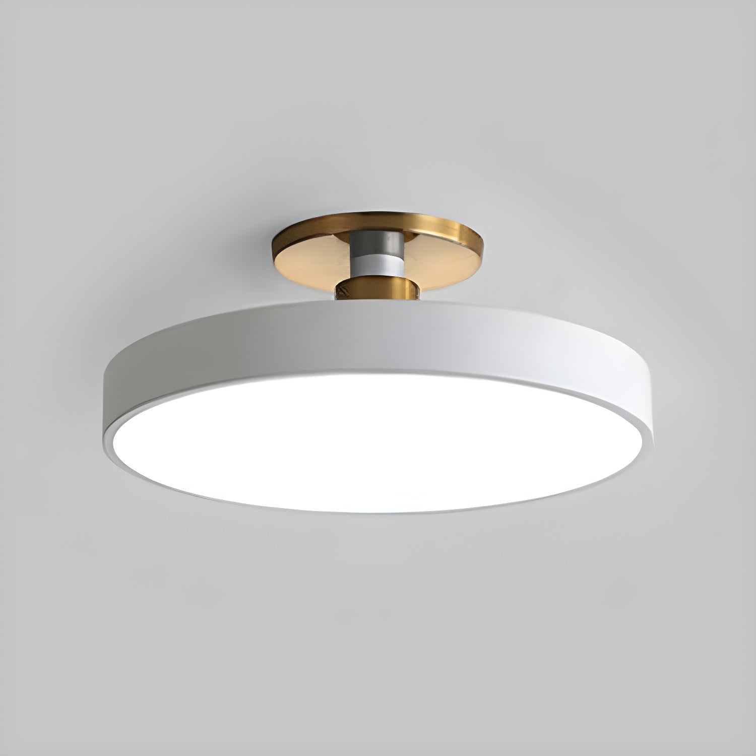Modern Round LED Flush Mount Ceiling Light 1-Light