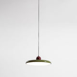 Modern Disc LED Plug-in Pendant Light 1-Light