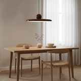 Modern Disc LED Plug-in Pendant Light 1-Light