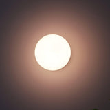 Vintage Brass Globe Glass Wall Sconce 1-Light