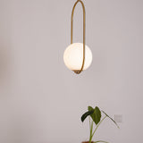 Modern Brass Ring Globe Glass Pendant Light 1-Light