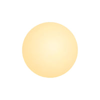 Minimalist Round Glass Wall Sconce LED 1-Light