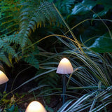 Outdoor Solar LED Mushroom Garden String Lights | Waterproof