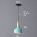 Modern Macaron Disc Pendant 1-Light Lasson Living